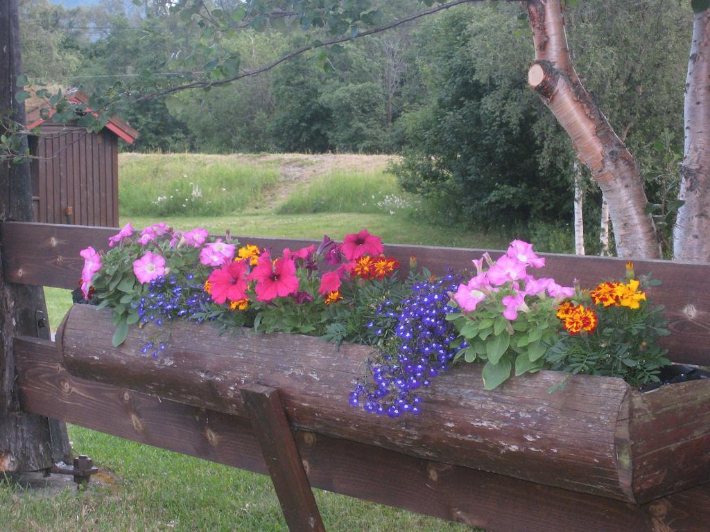 Smegarden Camping Oppdal Room photo